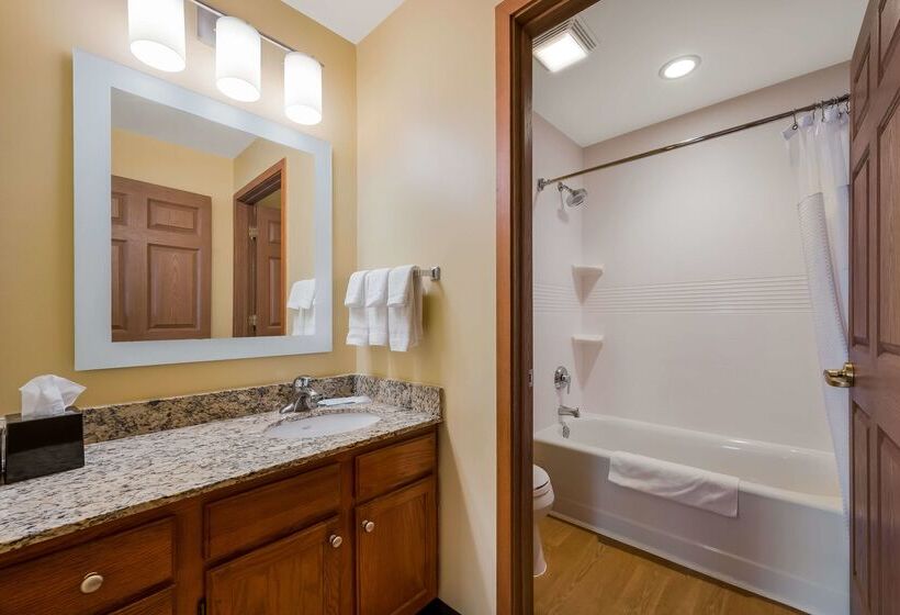 בית מלון כפרי Sonesta Simply Suites Detroit Novi