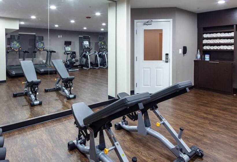 هتل Towneplace Suites By Marriott Dallas Plano/legacy