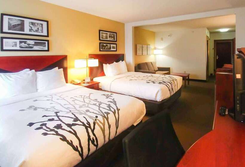 호텔 Wingate By Wyndham Dublin Near Claytor Lake State Park