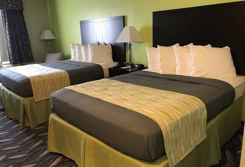 מוטל Best Western Mt. Vernon Inn