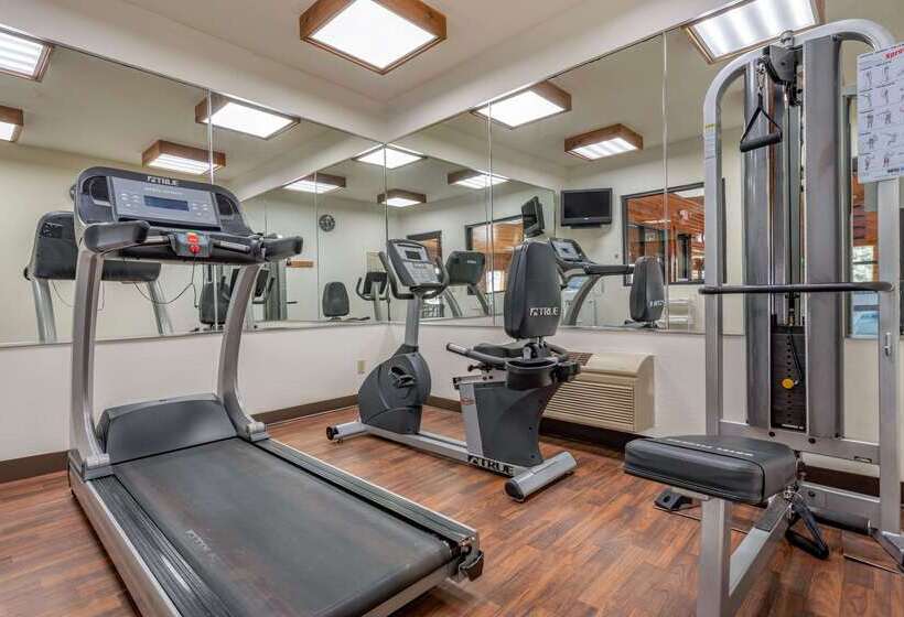 מוטל Comfort Inn