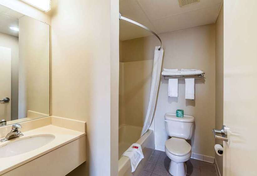 汽车旅馆  Econo Lodge Inn & Suites