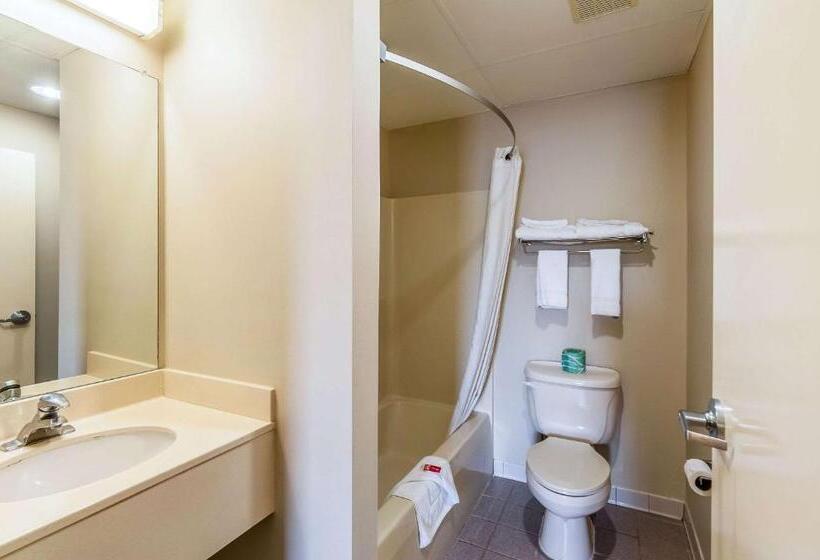 汽车旅馆  Econo Lodge Inn & Suites