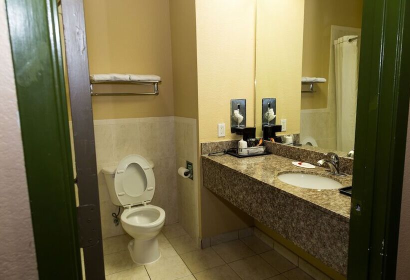 مُتل Red Lion Inn & Suites Iah Airport East