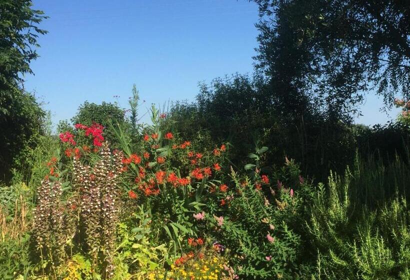 צימר Michouat Chambre D Hotes