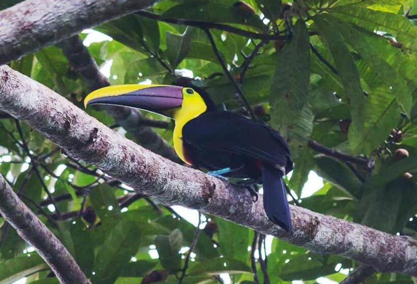 هاستل Destinos Del Pacífico