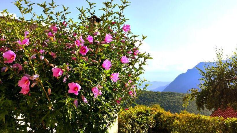 酒店 Ristorante Bellavista Con Locanda