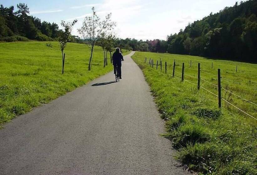 ホテル Toepperhof