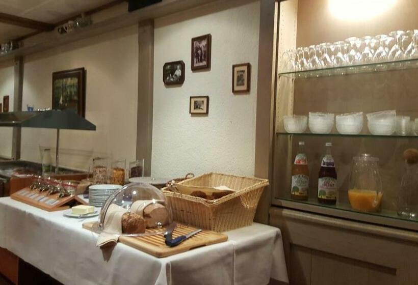 Отель Vier Löwen