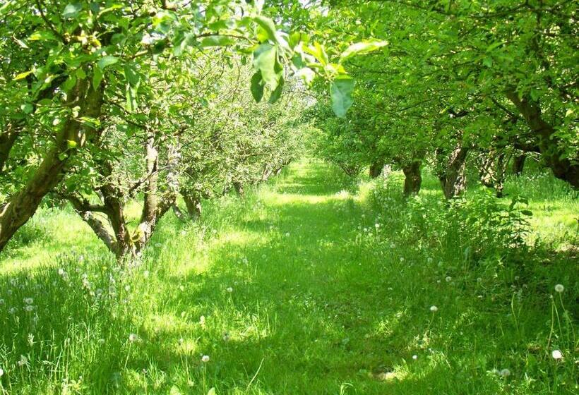 پانسیون Danninghus