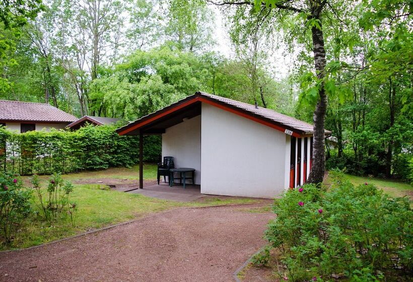 渡假胜地  Ferienpark Grafschaft Bentheim