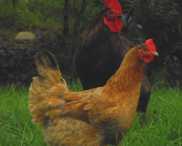 住宿加早餐  L écrin De Pradou Glas