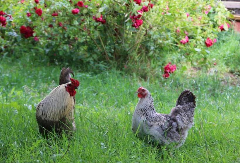 住宿加早餐  L écrin De Pradou Glas