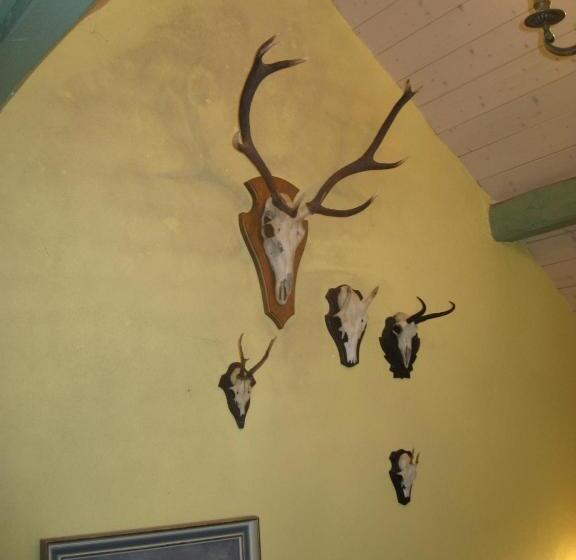 ベッドアンドブレックファースト Romantikmühle Heartlandranch