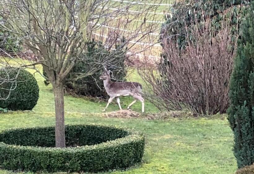 ベッドアンドブレックファースト Romantikmühle Heartlandranch