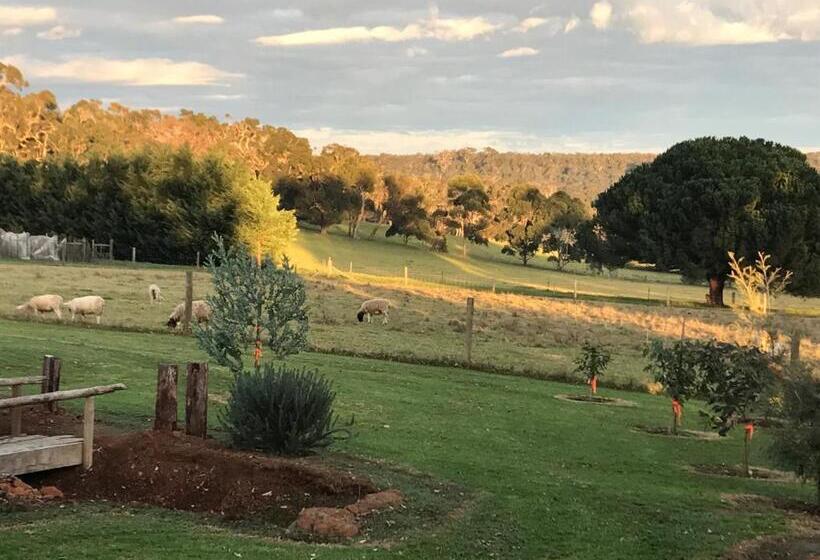 민박 The Grange On Kalgan Farm Stay Albany