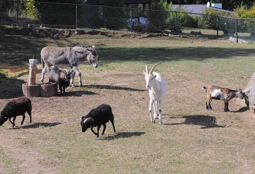 Chalet In Gerolstein With Forest