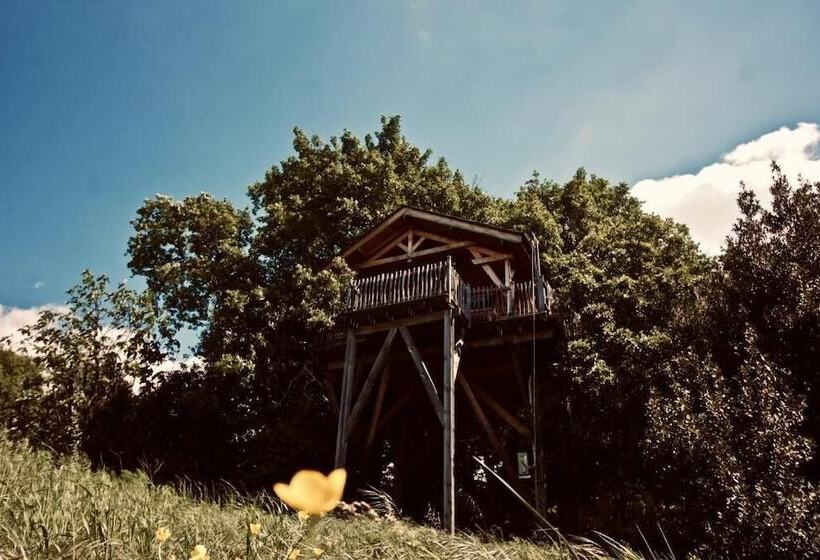 酒店 Cabane D Hôtes Avec Spa Aura Cabana