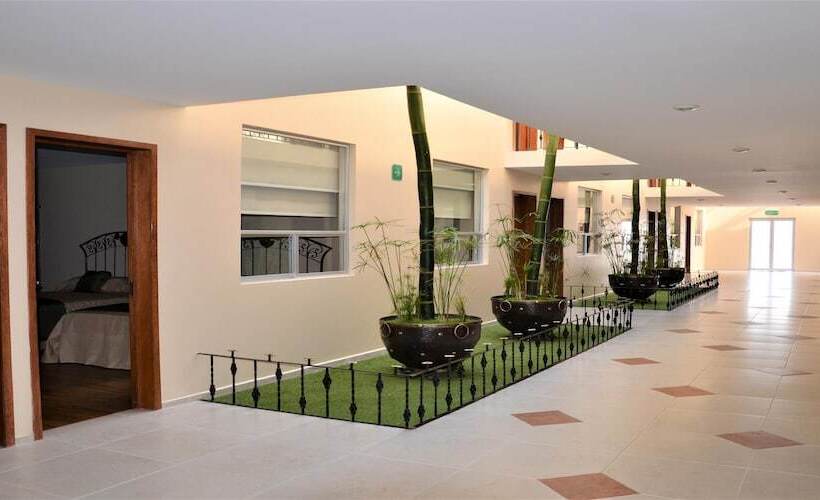 فندق Global Express Pachuca