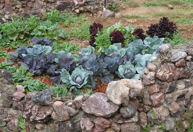 فندق Stonehouse Farm  Glamping