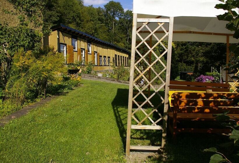 Idyllic Studio Near Forest