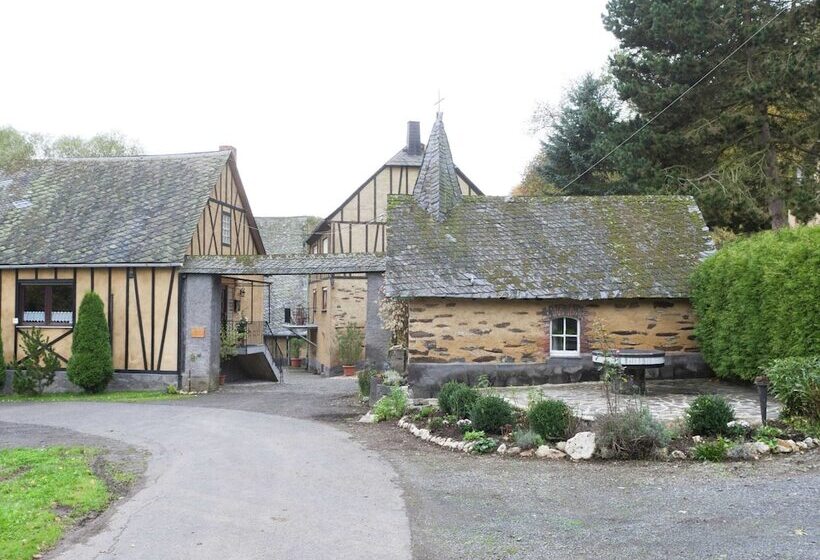 Idyllic Studio Near Forest