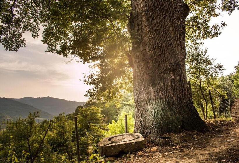 ベッドアンドブレックファースト Casale I Cirillo