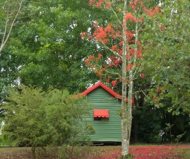 Отель Lake Eacham Tourist Park & Self Contained Cabins