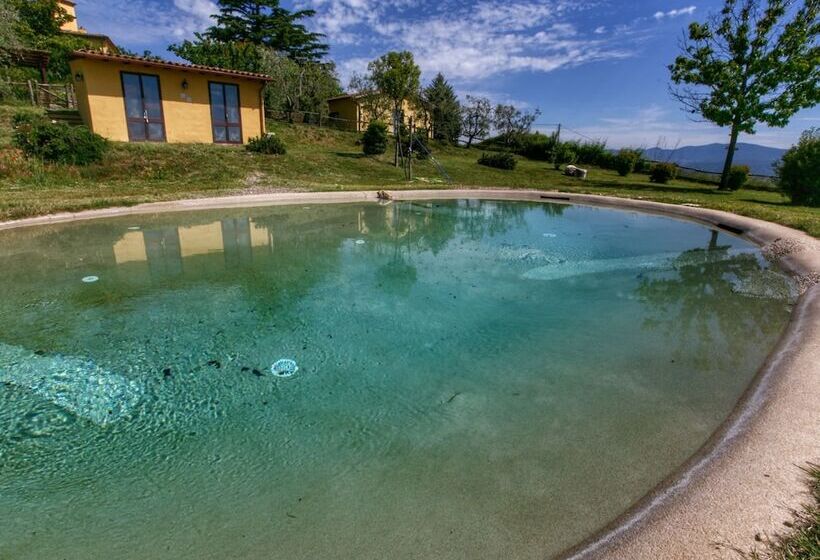 Modern Cottage In Graffignano Italy With Swimming Pool