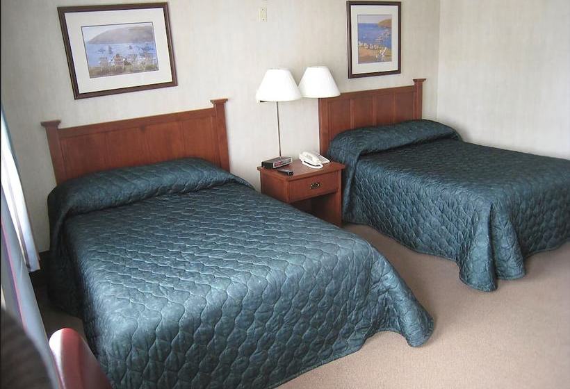 فندق على الطريق The Cove