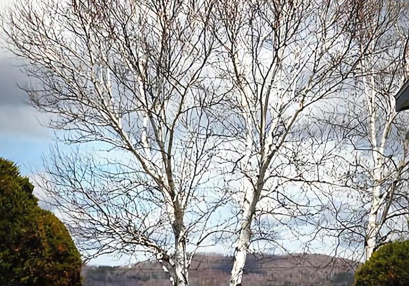 فندق على الطريق The Cove