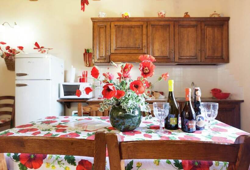 Stone Cottage In Marche With Swimming Pool