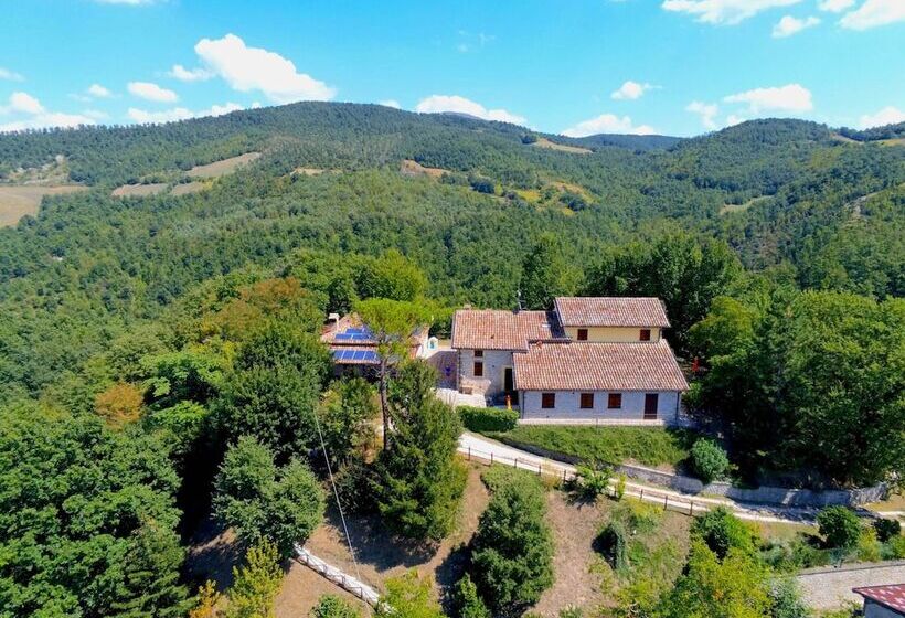 Stone Cottage In Marche With Swimming Pool