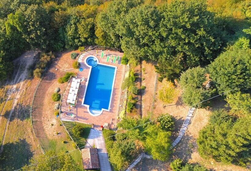 Stone Cottage In Marche With Swimming Pool
