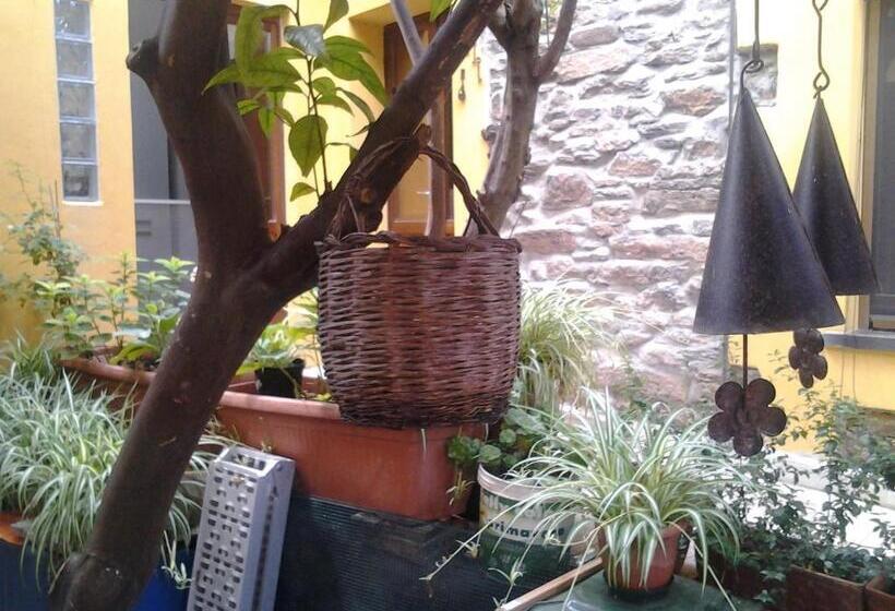 B&b Su Semucu