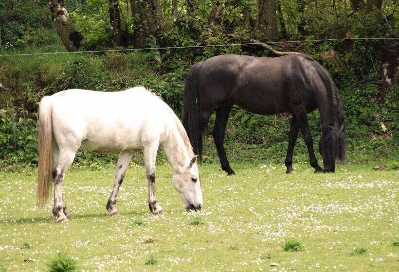 住宿加早餐  Une Roulotte Et Des Chevaux