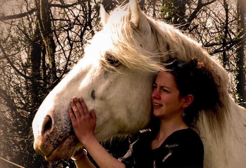 住宿加早餐  Une Roulotte Et Des Chevaux