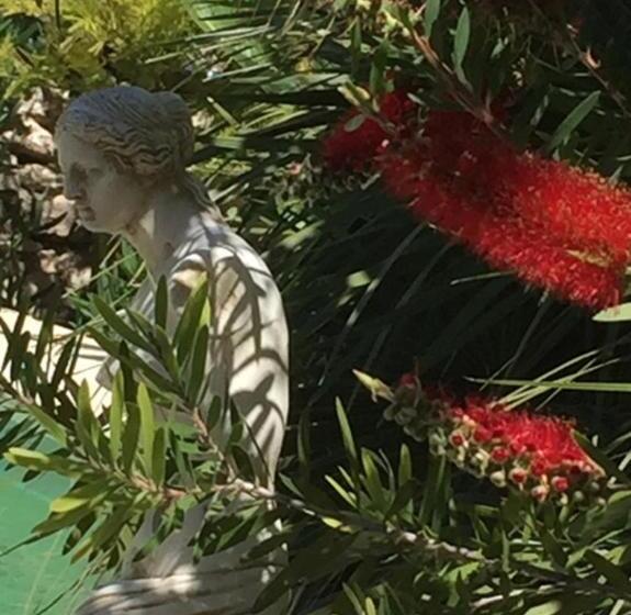 ベッドアンドブレックファースト O Palmier Caché