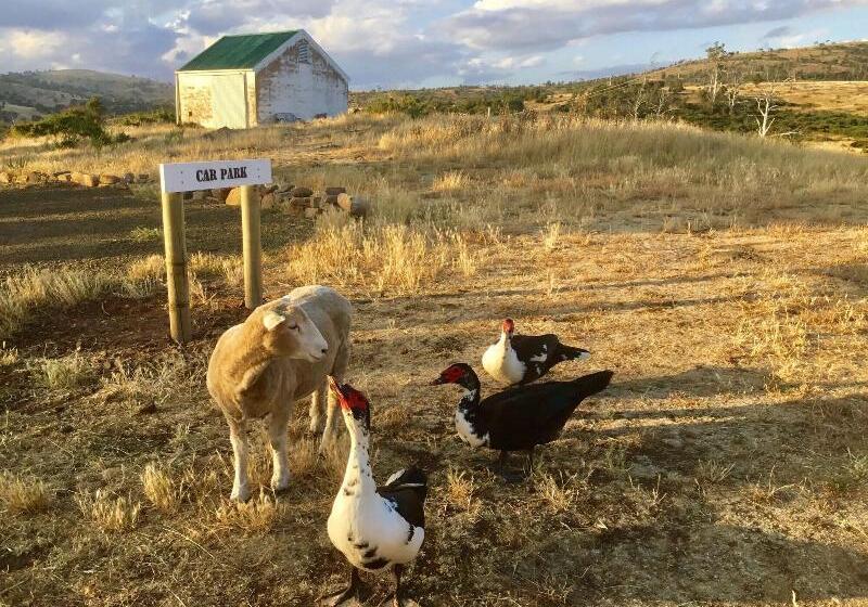 مبيت وإفطار Shearers  Quarters Rathmore