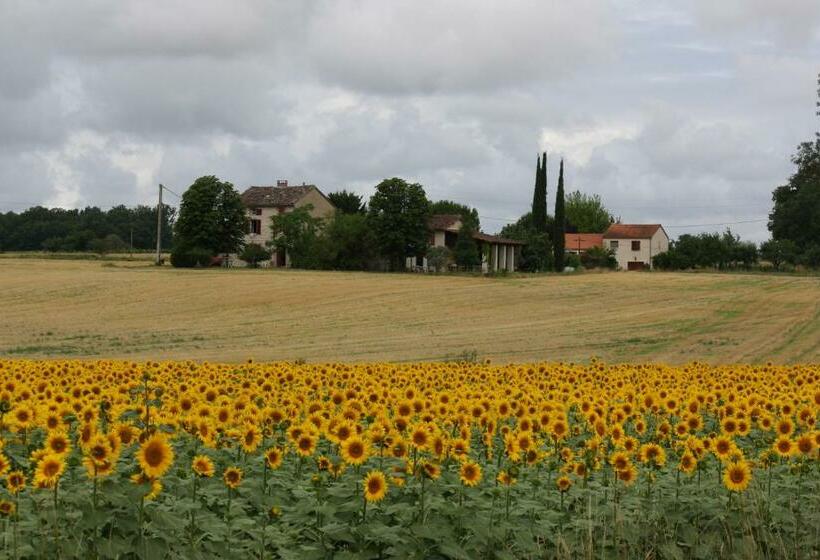 Domaine 3 Soleils
