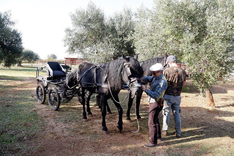 Masseria Piarmi