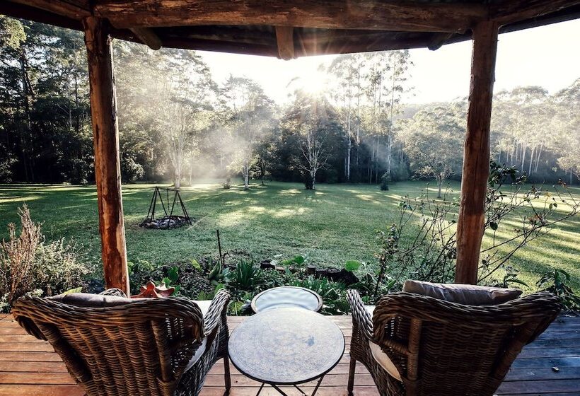 Nightcap Ridge   Byron Bay Hinterland