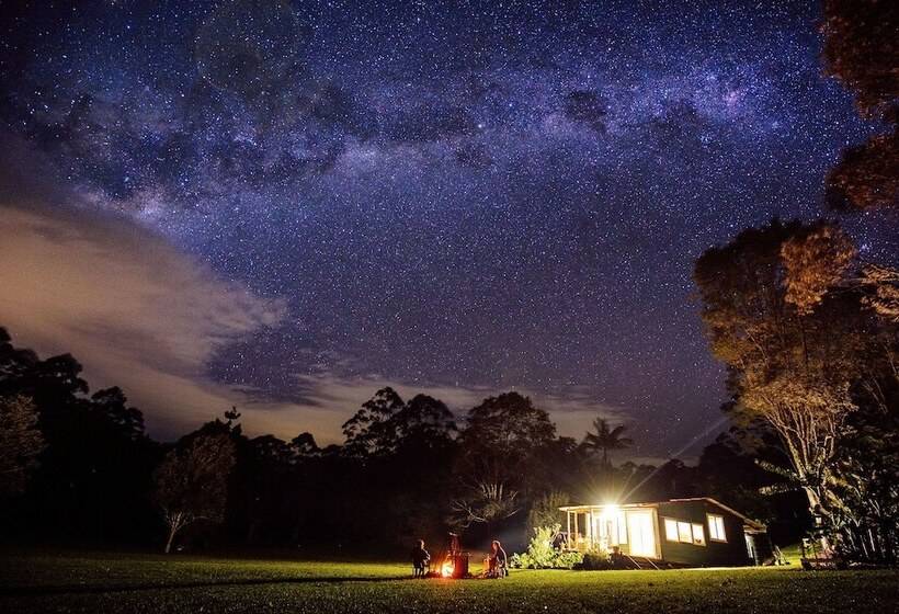 Nightcap Ridge   Byron Bay Hinterland