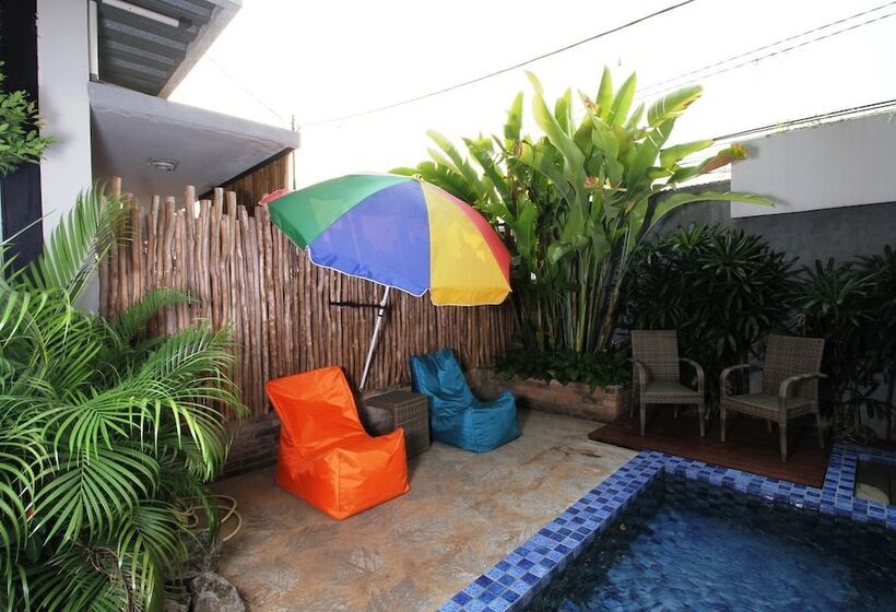 پانسیون Cohaus Living