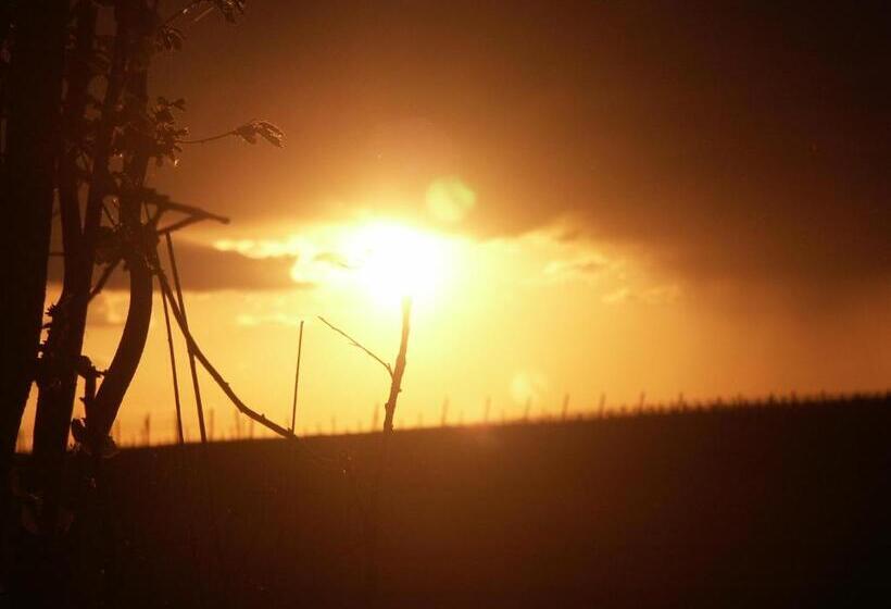 ペンション Weingut Seck