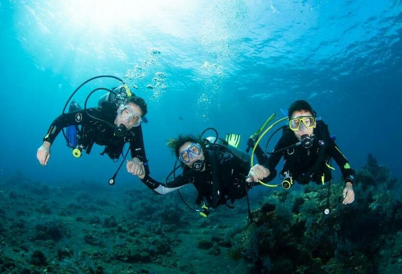 민박 Bali Dive Resort Amed