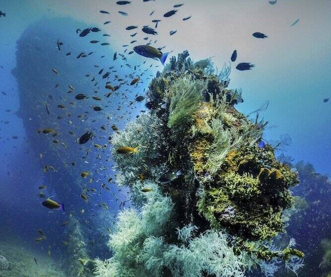 민박 Bali Dive Resort Amed