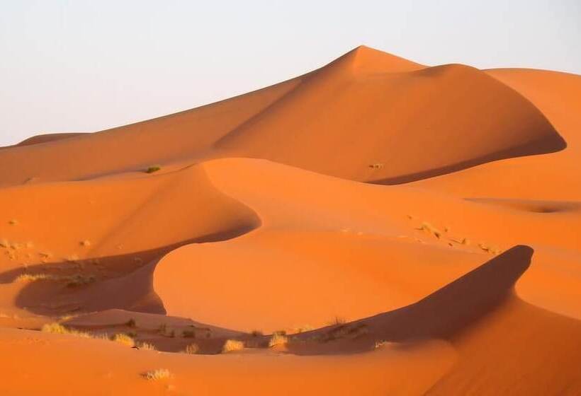 هتل Nomada Desert Camp