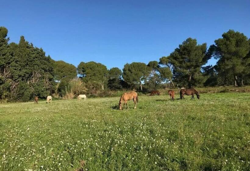 Bed and Breakfast Domaine Cap Rubis