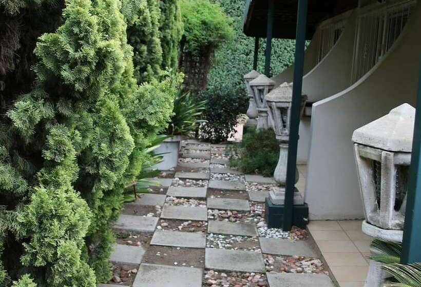 פנסיון Nmb Guest House